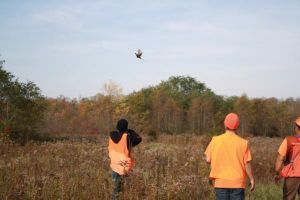 2016 Youth Pheasant Hunt photo 23
