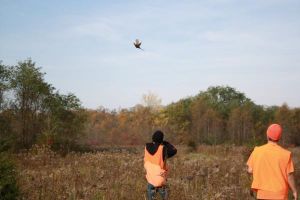 2016 Youth Pheasant Hunt photo 22