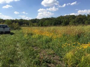 2017 Pollinator Plots Public Land photo 13