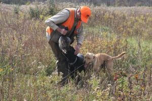 2016 Youth Pheasant Hunt photo 34