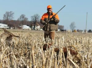Pheasant Pictures photo 3