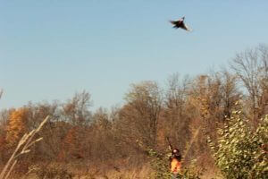 2014 Youth Hunt photo 15