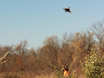 2014 Clay Shoot photo 28