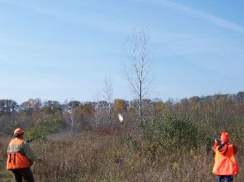 2014 Clay Shoot photo 11
