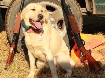 2014 Clay Shoot photo 6